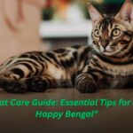 “Bengal Cat Care Guide: Essential Tips for a Healthy, Happy Bengal”