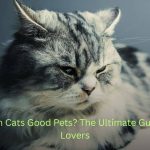Are Persian Cats Good Pets? The Ultimate Guide for Cat Lovers